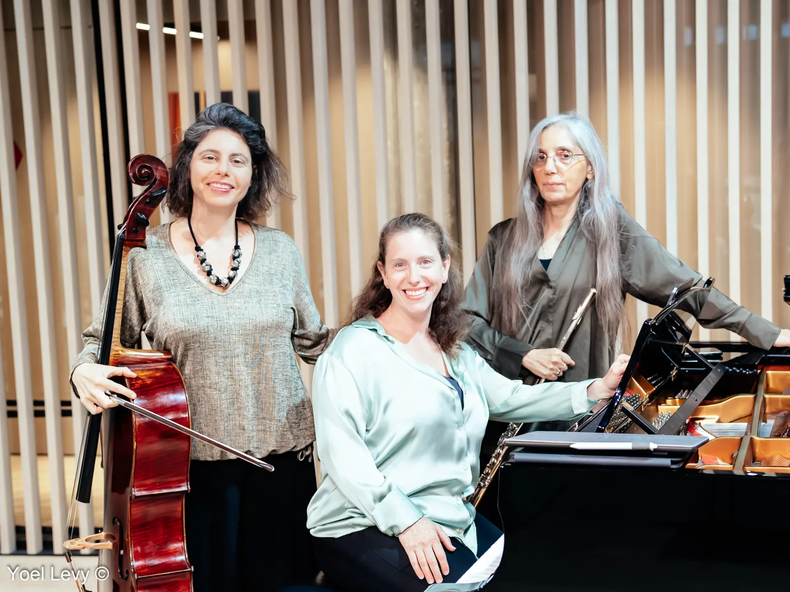 Trio Noga: The Seasons