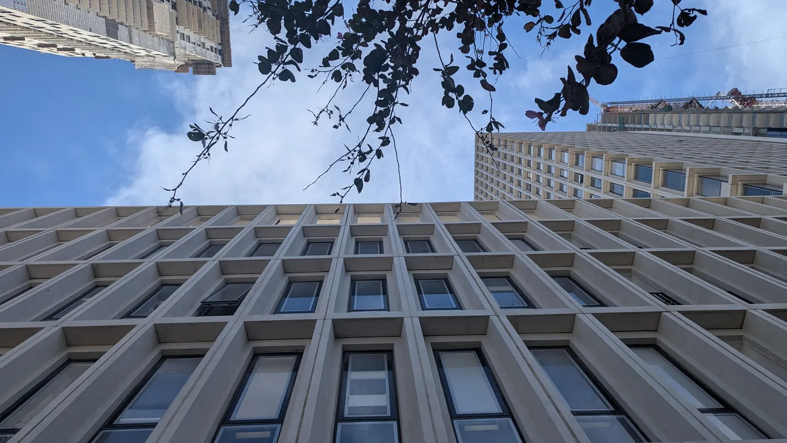 סיור שמיים | בתים מבפנים