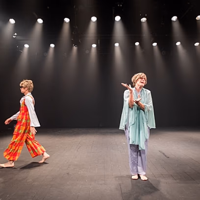 הגבירה מאבו דיס