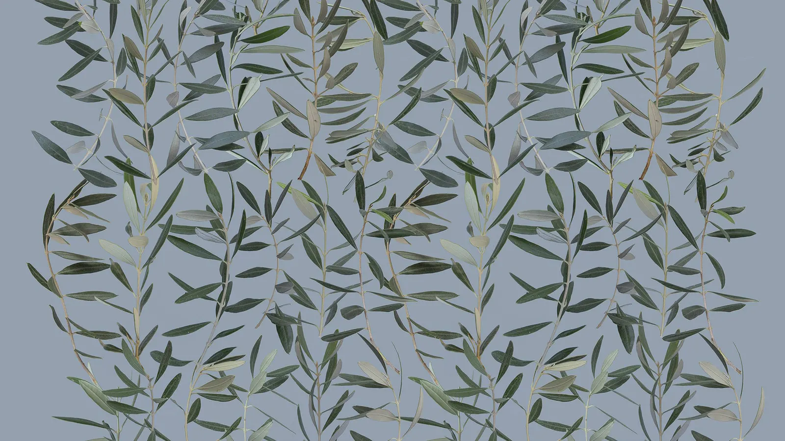 Postcards from Yesterday