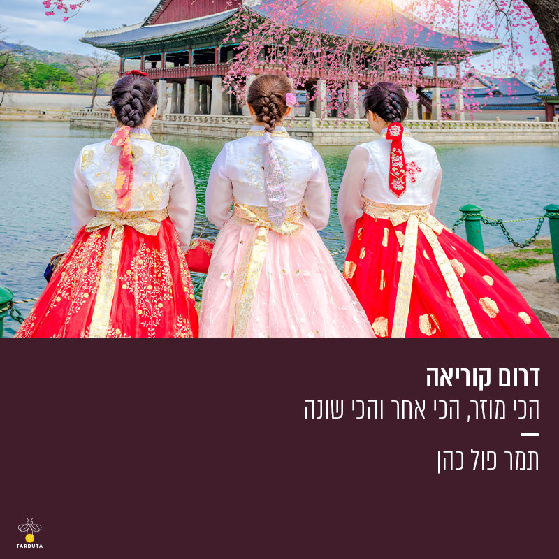 דרום קוריאה – הכי מוזר, הכי שונה והכי אחר תמר פול כהן