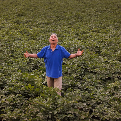 Local Testimony 2025