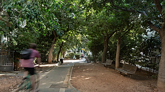 Urban tour: among gardens and alleys