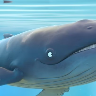 The Snail and the Whale