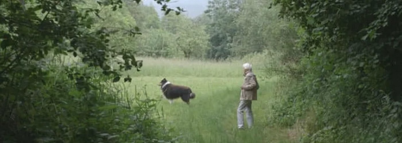 קולנוע מספר שואה