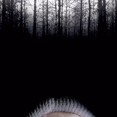 The Blair Witch Project