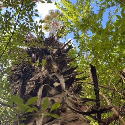 On the Threshold: A Nature Tour in Building Yards