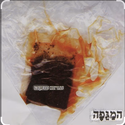 להקת "המגפה" – הופעת איחוד לרגל 30 שנה ל"ערב שקט"